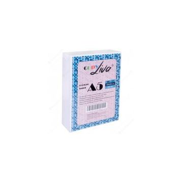 Copy Liva 80 gr 2 Paket 1000 Sayfa A5 Fotokopi Kağıdı