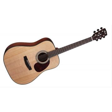 Cort EARTH20THFNAT Elektro Akustik Gitar