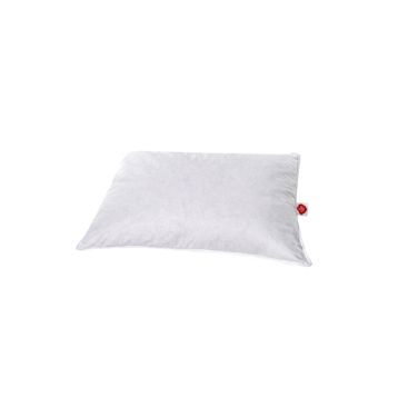 Cotton Box 50x70 Kaz Tüyü Sırt Yastığı