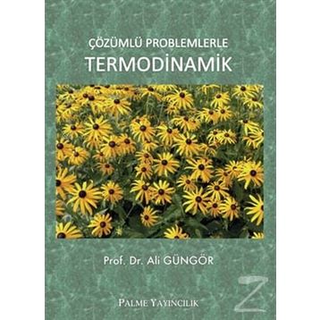 Çözümlü Problemlerle Termodinamik - Ali Güngör