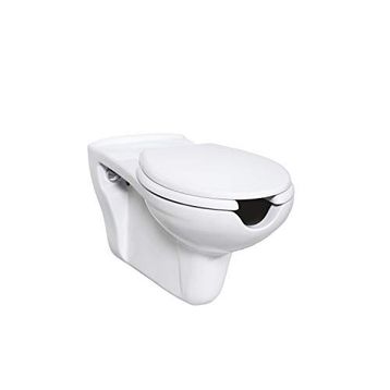 Creavit BD320-00CB00E-0000 Bedensel Engelli Asma Klozet
