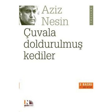Çuvala Doldurulmuş Kedile - Ali Nesin
