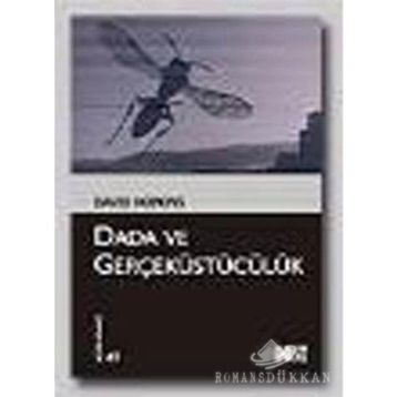 DADA VE GERÇEKÜSTÜCÜLÜK - DAVID HOPKINS