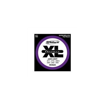 D'addario ECG24 Elektro Gitar Teli