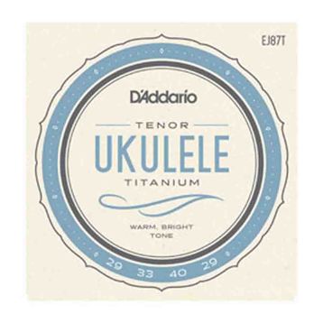 D'addario EJ87T Titanium Warm Bright Tenor Ukulele Tel Seti
