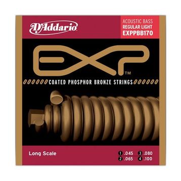 D'addario EXPPBB170 Bass Exp 45100 Lng Akustik Tel Set