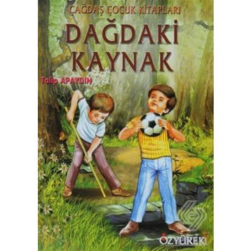 DAĞDAKI KAYNAK - GENEL