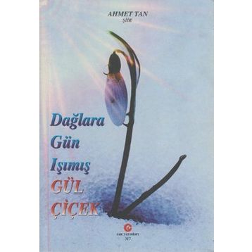 DAĞLARA GÜN IŞIMIŞ GÜL ÇIÇEK - AHMET TAN