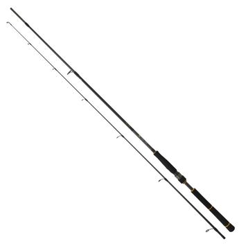Daiwa BG Seabass 272 cm 14-42 gr Seabass Kamış