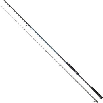 Daiwa Caldıa Seabass 2.70 m 14-42 gr 2P Kamış
