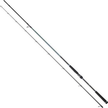 Daiwa Caldia Seabass 244 cm 14-42 gr Spin Kamış