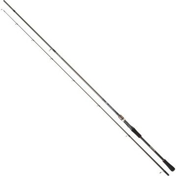 Daiwa Exceler 2.44 m 14-42 2P Kamış