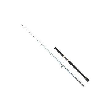 Daiwa Grandwave 1.68 m Olta Kamışı