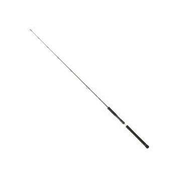 Daiwa Legalis O BF JG 1.73 m 100-300 gr Tek Parça Jig Kamış