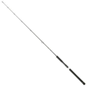 Daiwa Legalis Oceano JG 173 cm 100-300 gr Jig Kamış
