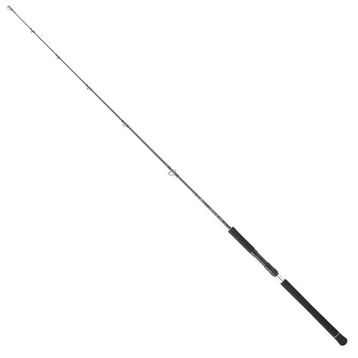 Daiwa Legalis Oceano JG 173 cm 100-300 gr Jig Kamış