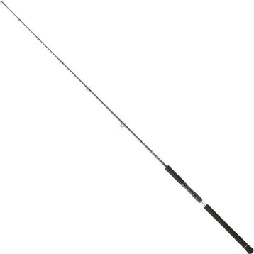 Daiwa Legalis Oceano JG 173 cm 100-300 gr Jig Kamış