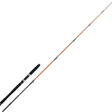 Daiwa Megaforce BF 1.80 m 60-120 gr S2P Jigging Kamış