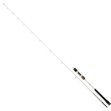 Daiwa Megaforce CF 1.80 m 30-80 gr 2P Jig Kamış
