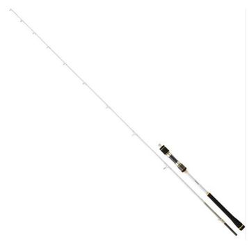 Daiwa Megaforce CF 1.80 m 30-80 gr 2P Jig Kamış