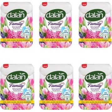 Dalan 4x75 gr 6'lı Family Bahar Çiçekleri Sıvı Sabun
