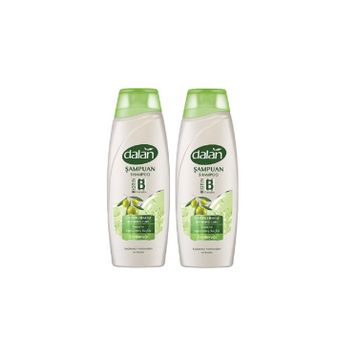 Dalan Zeytinyağlı Onarıcı Bakım 2x450 ml Şampuan