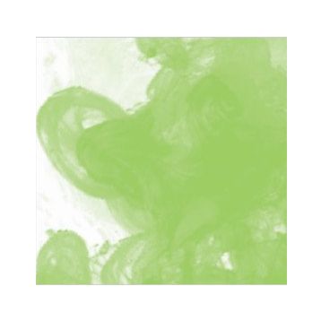 Daler Rowney Light Green 348 Fw Acrylic Artist Ink 29.5 ml Cam Şişe