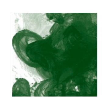 Daler Rowney Sap Green 375 Fw Acrylic Artist Ink 29.5 ml Cam Şişe