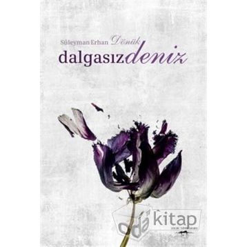 Dalgasız Deniz - Süleyman Erhan Dönük