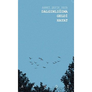 Dalgınlığıma Geldi - Ahmet Şefik Vefa