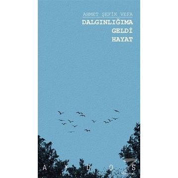 Dalgınlığıma Geldi - Ahmet Şefik Vefa
