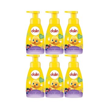 Dalin Orman Meyveli 6x200 ml Köpük Sabun