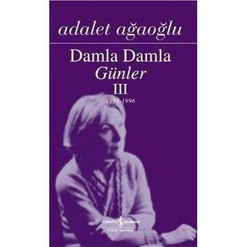 Damla Damla Günler 3 - Adalet Ağaoğlu
