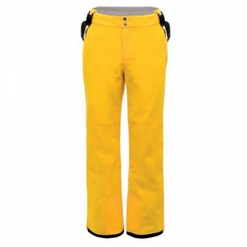 Dare2b Certify Pant II Erkek Kayak Pantolonu