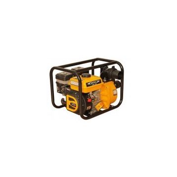 Datsu DBP 100 Benzinli Su Motoru