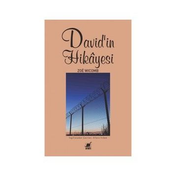 David'in Hikayesi - Zoe Wicomb - Ayrıntı Yayınları
