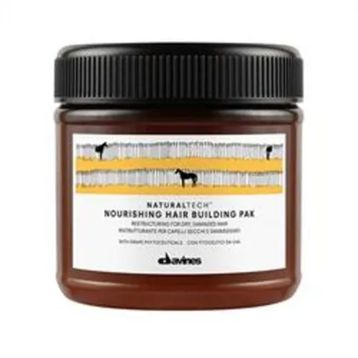 Davines Yapılandırıcı 250 ML Saç Bakım Maskesi