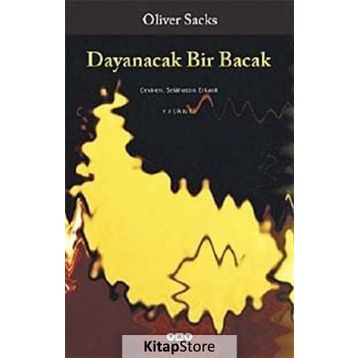 Dayanacak Bir Bacak - Oliver Sacks