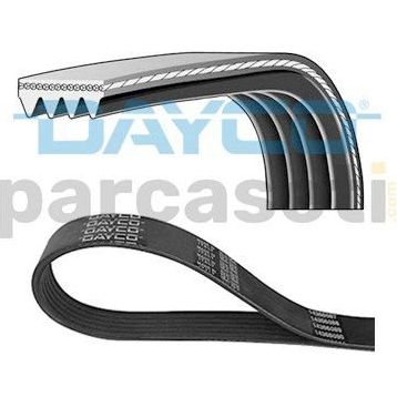 Dayco 6PK1013 Kanallı V Kayışı