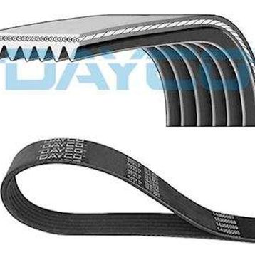 Dayco 6PK1100 Triger Kayışı