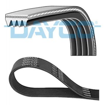 Dayco 6PK1330 Kanallı Kayış
