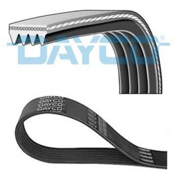 Dayco 6PK1450 Kanallı V Kayışı