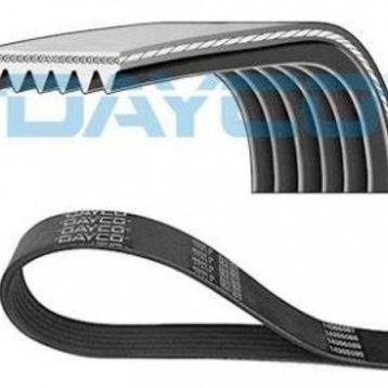 Dayco 6PK1596 Kanallı V Kayışı