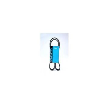 Dayco 6PK1730 Kanallı Kayış