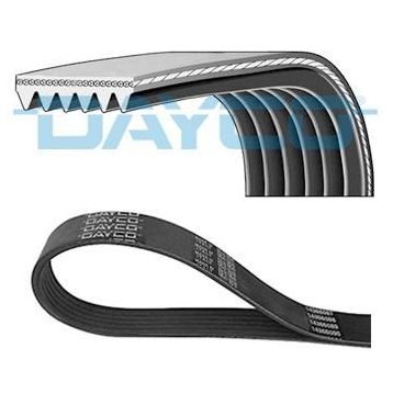 Dayco 6PK2465 Kanallı V Kayışı