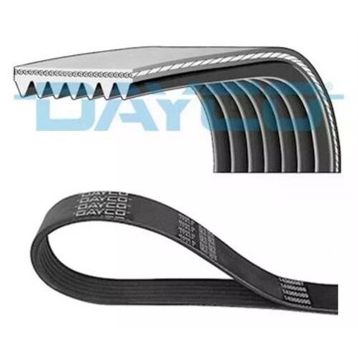 Dayco 7PK1165S Micra Kanallı Kayış