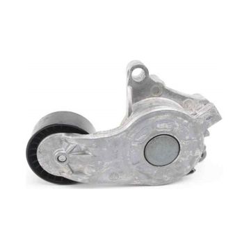 Dayco APV3797 Alternatör Gergi Rulmanı
