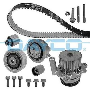 Dayco KTBWP7880 Triger Rulman Kiti