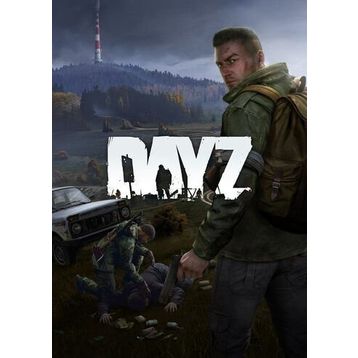 Dayz Steam Key