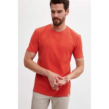 Defacto I5699AZ18SPKH64 Basic Bisiklet Yaka Slim Fit Erkek T-Shirt